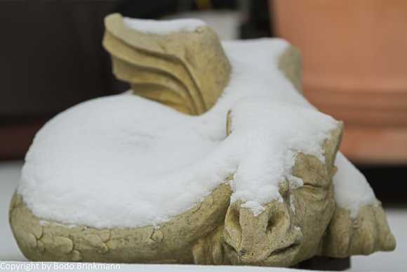 Sky-IMG_1033-Bearbeitet