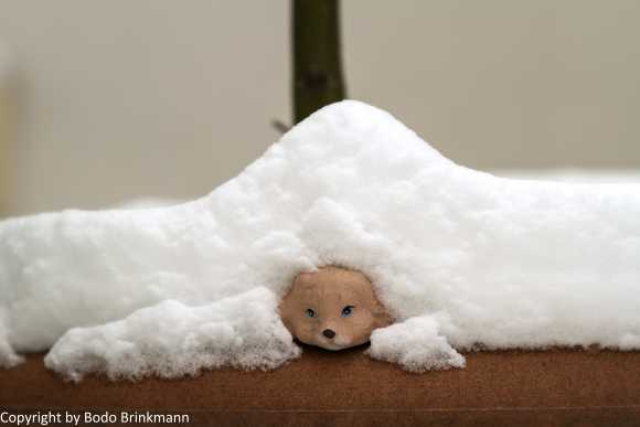 Sky-IMG_1030-Bearbeitet