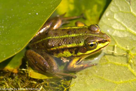 Sky-IMG_3425-Bearbeitet